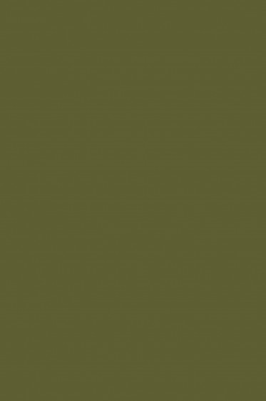 Picasso Oil: Olive Green 180ml
