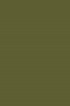 Picasso Oil: Olive Green 170ml
