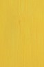 Michael Harding Premium Oil Color: Genuine Naples Yellow Light 40ml