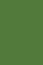 Maries Fabric Color: Sap Green 568 50ml