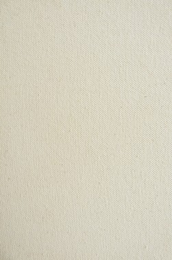 Studio Stretched Canvas: Unprimed 20x30 inch