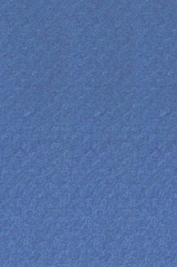 Canson Pastel Paper Mi-Teintes: Royal Blue 160gsm ROLL