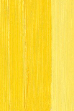 Schmincke Mussini Oil Colors: Cadmium Yellow 2 Medium 35ml