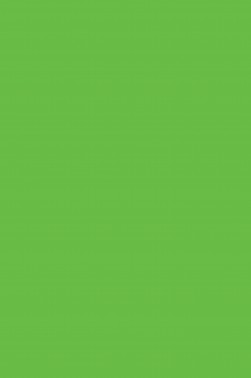 Derivan Screen Ink: Fluorescent Green 250ml
