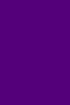 Picasso Acrylic Color: 402 Brillant Purple 75ml