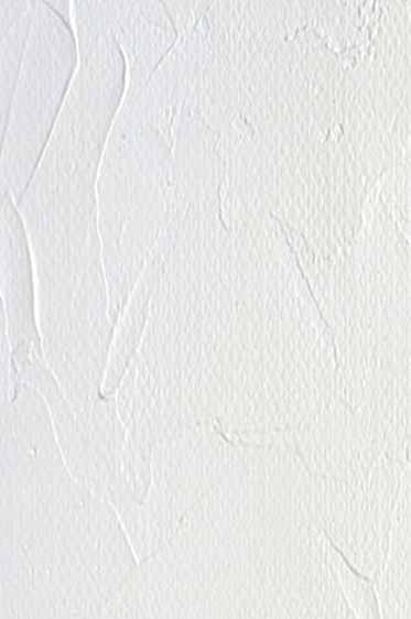 Gamblin Relief Inks: Titanium White 175ml