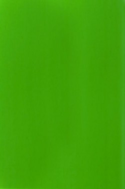 Liquitex Basics Acrylic Studio: Fluorescent Green 22ml