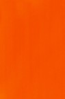 Liquitex Basics Acrylic Studio: Fluorescent Orange 22ml