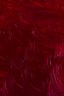 Gamblin Artist Oil: Alizarin Crimson   37ml