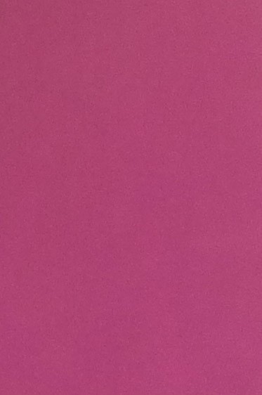 Colored Leaf: Pink 6 sheets