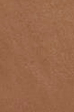 Snazaroo Face Paint: Classic Color Beige Brown 18ml