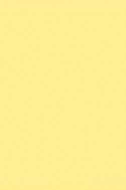 Winsor & Newton Pigment Marker: Lemon Yellow Light