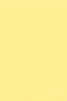 Winsor & Newton Pigment Marker: Lemon Yellow Light