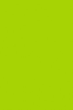 Winsor & Newton Pigment Marker: Bright Green