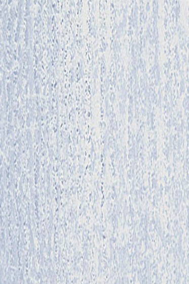 Jack Richeson Medium Soft Pastel: Grey 168