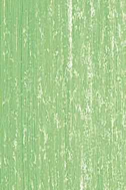 Jack Richeson Medium Soft Pastel: Green 6